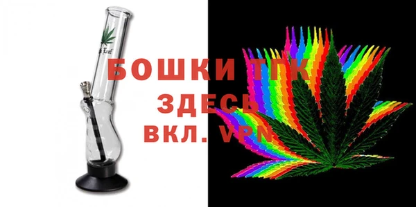 PSILOCYBIN Абдулино