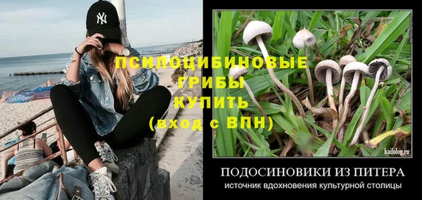 PSILOCYBIN Абдулино