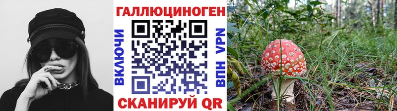 наркотики  Златоуст  Псилоцибиновые грибы GOLDEN TEACHER 
